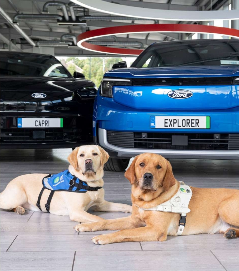 Take a Test Drive - Ford Donates €30